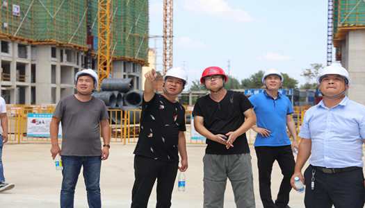 环球(中国)体育官方网站董事会巡检圆满完成